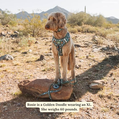 Lucy & Co. x Parks Project Power to the Parks No-Pull Dog Harness, Adjustable Front Clip Harness with Comfort Padding, X-Large - color: Power to the Parks, size: X-Large