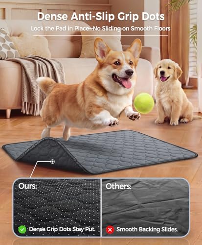 Doglike [Upgraded Silver-Ion Odor] Washable Pee Pads for Dogs – Ultra Absorbent, Leak-Proof, Non-Slip & 5-Hour Quick-Drying Reusable Puppy Training Pads for Home, Crate & Sofa,24" x 18" (2 Pack) - size: 24" x 18"【Industry #1 Ag+ Fabric Application】