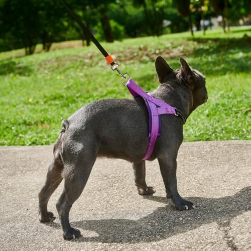 No Pull Dog Harness with Handle, Rear & Front Clip, Adjustable, Easy On/Off, Reflective, Lightweight & Mesh Padded, No Choke. Dog Harness Small Sized Dog (Purple-Black, Small) - color: Purple-Black, size: Small