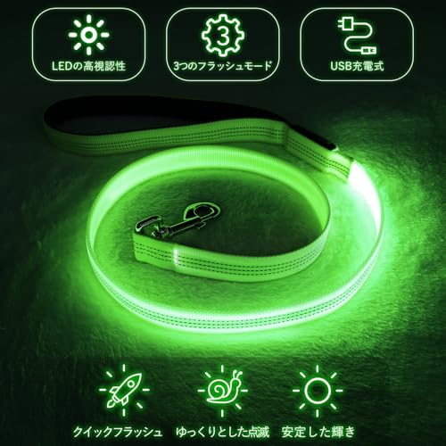 Colaseeme LED Light Up Dog Leash, USB Rechargeable (4FT,Green-New) | Glow in dark, reflective, USB-C rechargeable, bright LED for night safety, fits small to large dogs - color: Green (New), size: 4FT
