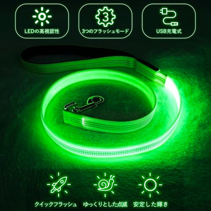 Colaseeme LED Light Up Dog Leash, USB Rechargeable (4FT,Green-New) | Glow in dark, reflective, USB-C rechargeable, bright LED for night safety, fits small to large dogs - color: Green (New), size: 4FT