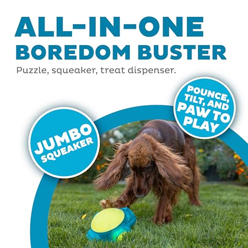 Outward Hound Tennis Maze Craze Interactive Squeaky Dog Toy, Blue - color: Blue Tennis Maze Craze, size: One-Size, style: Single