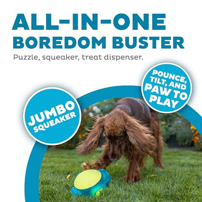 Outward Hound Tennis Maze Craze Interactive Squeaky Dog Toy, Blue - color: Blue Tennis Maze Craze, size: One-Size, style: Single