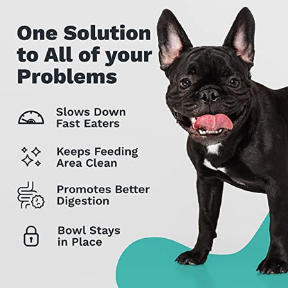 Enhanced Pet Bowl, Stainless Steel Slanted Dog Bowl with Raised Ridge for Flat-Faced Dog Breeds or Cats, Food-Grade Non-Slip No Spill Bowl for Dogs, Less Mess, Less Gas, and Better Digestion (Small) - size: Small