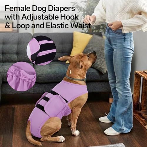 Lelepet Reusable Dog Diapers Female, Dog Period Panties, Washable Belly Band Dog with Suspenders, Girl Dog Diapers for Heat, Soft Adjustable Small Doggy Onsie with Hole Tail, Purple, XS - color: Purple, size: XS