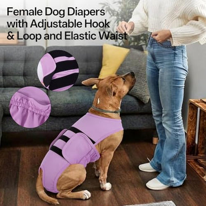 Lelepet Reusable Dog Diapers Female Large, Dog Period Panties, Washable Belly Band Dog with Suspenders, Dog in Heat Diaper, Soft Adjustable Doggie Onsie with Hole Tail, Purple, XL - color: Purple, size: XL