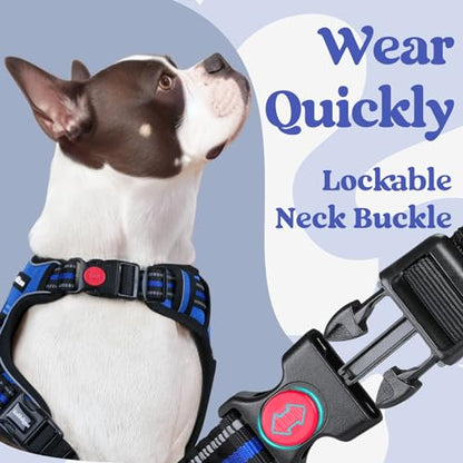 rabbitgoo Dog Harness Small Sized, No Pull Easy On & Off with 3 Buckles Pet Harness, Adjustable Soft Walking Vest with 2 Clips and Handle, Reflective for Small Dogs, Blue, S - color: Blue, size: Small