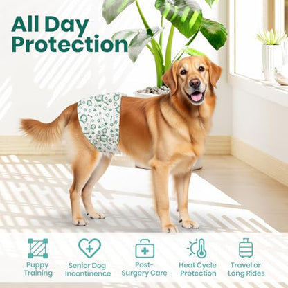 Dog Diapers for Male Dogs: Leakproof, Adjustable, Soft, and Breathable Disposable Diapers for Male Doggie – Perfect for Incontinence, Training, and Travel – 50 Pack Size XL
