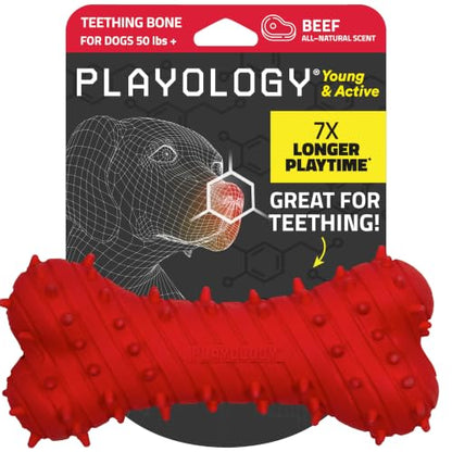 Playology Dog Toys | Teething Bone for Large Puppies and Young Dogs | Beef Scented Jumbo Dog Bone Chew Toy | Teething Puppy Essentials - size: Jumbo, style: Beef