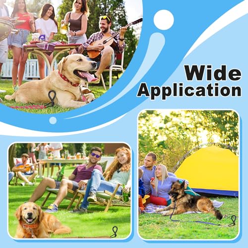 Beach Dog Stake Anchor - 360° Swivel Dog Tie Out Stake for Dogs Up to 250 lbs, Heavy Duty Beach Essentials for Outside Yard Ground Sand Camping