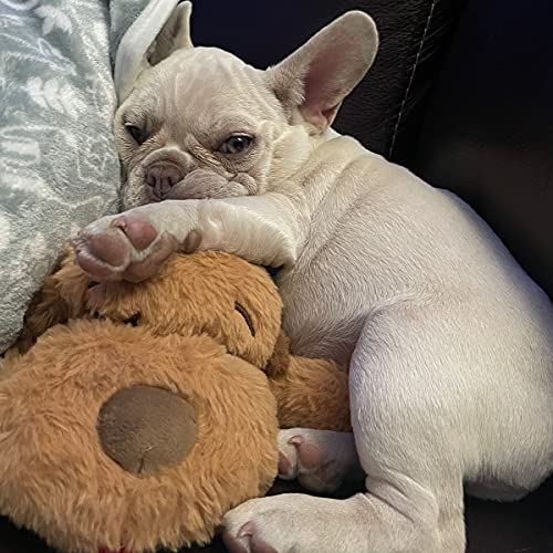 SmartPetLove Original Snuggle Puppy Essentials Starter Kit - Heartbeat Puppy for Dogs - Calming Aid with 3 Heat Packs, Puppy Teething Toy, Dog Chew Toy and Dog Blanket - color: Blue