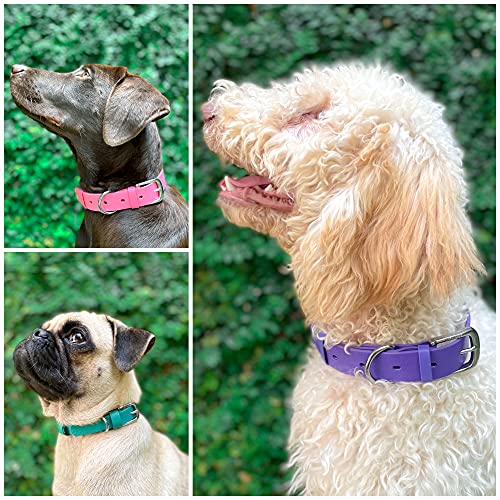 Tuff Pupper Classic Heavy Duty Dog Collar | 10x Stronger Than Leather | 100% Waterproof & Odor Proof Dog Collar | Tough Rust-Proof All Metal Hardware - color: Royal Purple