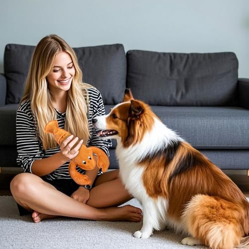 Squeaky Dog Toy No Stuffed Dog Toys,Lobster Puppy Toys for Small Medium Large Breed pups Teething Interactive Toy to Keep Them Busy, Best Christmas Birthday Gift - color: Orange