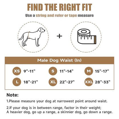 wegreeco Washable Male Dog Belly Band (Stylish Pattern) - Pack of 3 - Dog Diapers Male - Washable Male Dog Belly Wrap (Dinosaur Fossils, X-Small) - color: Dinosaur Fossils, size: X-Small (Pack of 3)