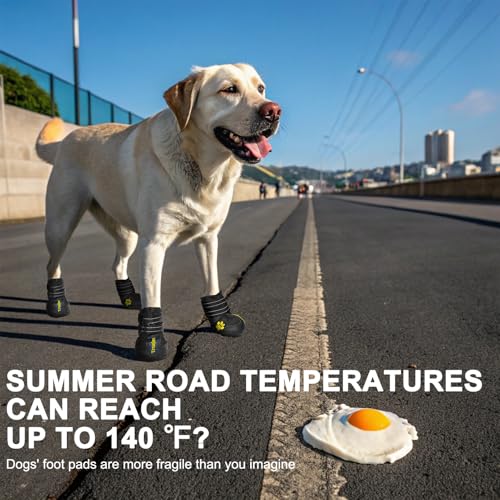 Expawlorer Dog Shoes for Small Dogs, Dog Shoes for Hot Pavement Hiking Walking, Anti-Slip Rugged Sole,Waterproof Dog Booties for Outdoor Rain Days, All Weather Dog Boots & Paw Protectors (Black) - size: Size 2: 2.28"x1.89" (L*W) (Pack of 4)