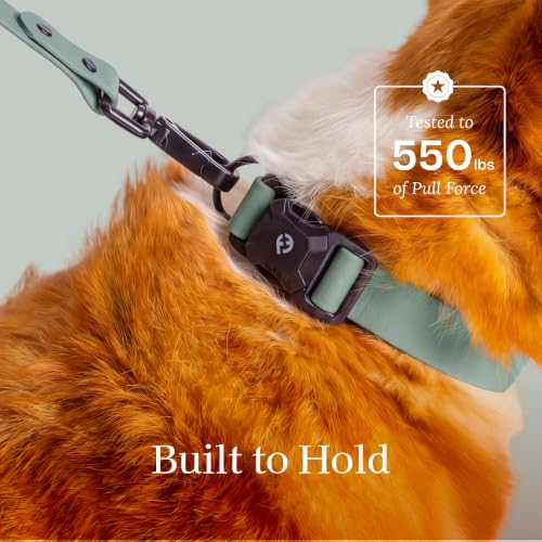 Fei & Eve VERO Dog Collar, Glacier Green, Medium | MagEase Magnetic Buckle, Waterproof PVC, Odor Resistant, Easy Clean, Heavy Duty - color: Glacier Green, size: M