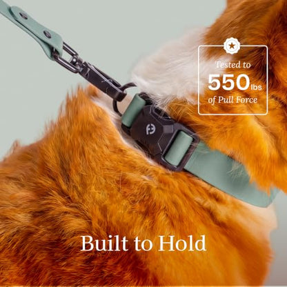 Fei & Eve VERO Dog Collar, Glacier Green, Large | MagEase Magnetic Buckle, Waterproof PVC, Odor Resistant, Easy Clean, Heavy Duty - color: Glacier Green, size: L