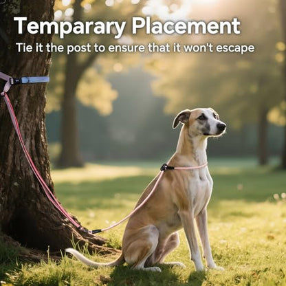 QQPETS Adjustable Slip Lead Dog Leash, Hands Free Waist Leash for Dog Walking, Reflective Training Lead with 360° Swivel Anti-Tangle, 4-7 ft Length for All Breeds - color: Blue-pink Gradient