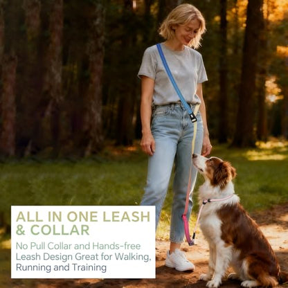 QQPETS Adjustable Slip Lead Dog Leash, Hands Free Waist Leash for Dog Walking, Reflective Training Lead with 360° Swivel Anti-Tangle, 4-7 ft Length for All Breeds - color: Rainbow colors