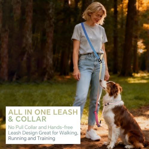 QQPETS Adjustable Slip Lead Dog Leash, Hands Free Waist Leash for Dog Walking, Reflective Training Lead with 360° Swivel Anti-Tangle, 4-7 ft Length for All Breeds - color: Rainbow colors