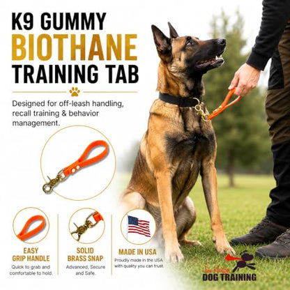 Biothane Training Tab Leash for Dogs, Brass Hardware, No Pull with Easy Grip Handle, Made in The USA, Professional Grade-Orange - color: Orange