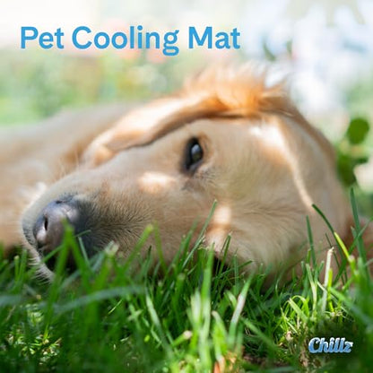 The Green Pet Shop Chillz Gel Mat, Large - Pressure-Activated Cooling Pad for Pets 25-50 lbs - Non-Toxic, No Water or Refrigeration Needed - Ideal for Home, Travel & Crates - size: L