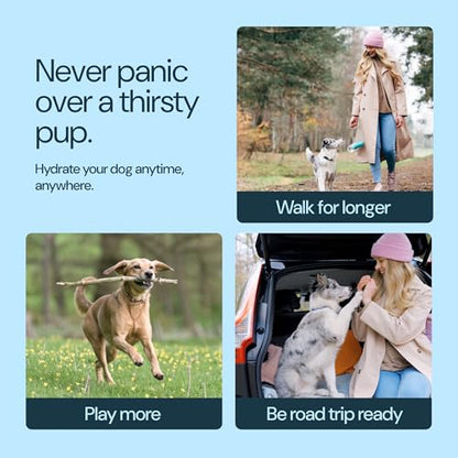 MalsiPree Insulated Dog Water Bottle - 24 oz Blue, Stainless Steel | 24oz insulated steel bottle & bowl - leak-proof - Use for dog travel, hiking, park & beach days - color: Blue, size: 24oz - Insulated