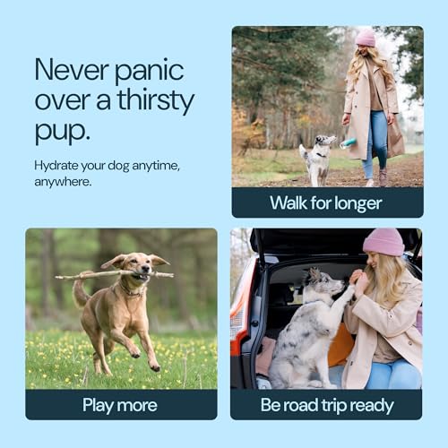 MalsiPree Insulated Dog Water Bottle - 24 oz Pink, Stainless Steel | 24oz insulated steel bottle & bowl - leak-proof - Use for dog travel, hiking, park & beach days - color: Pink, size: 24oz - Insulated
