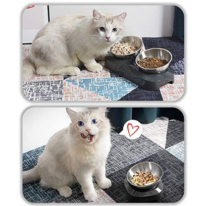 AYADA Raised Cat Food Bowl, Stainless Steel Cat Dish for Dry Wet Food Water, Anti Vomiting Elevated with Stand Ergonomic Lifted Slanted Tilted 15 Angle Metal Single Kitty Kitten Pet Bowl (Single) - color: Single