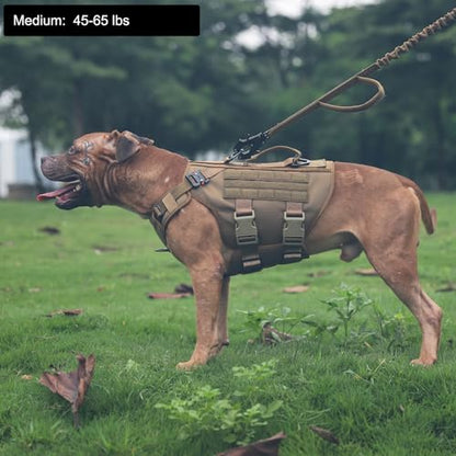 ICEFANG GN3 Tactical Dog Harness with 6X Buckle,Dog Molle Vest with Handle,3/4 Body Coverage,Hook and Loop Panel for ID Patch,No Pulling Front Clip (M (25"-31" Girth), Coyote Brown) - color: Coyote Brown, size: Medium (Pack of 1)