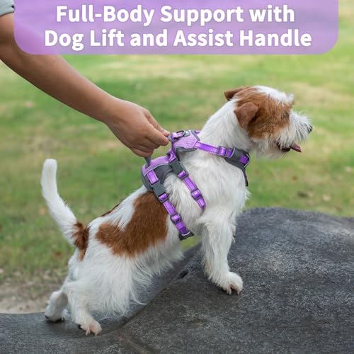 Huntboo Reflective Dog Harness with Handle, Escape Proof, No Slip,Breathable, Lightweight,Adjustable Lift Harness for Small,Medium,and Large Dogs Walking, Training,and Running Gear(Lavender Purple,XS) - color: Lavender Purple, size: X-Small(Pack of 1)