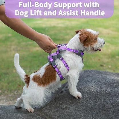 Huntboo Reflective Dog Harness with Handle, Escape Proof, No Slip, Breathable, Lightweight,Adjustable Lift Harness for Small,Medium,and Large Dogs Walking, Training,and Running Gear(Lavender Purple,S) - color: Lavender Purple, size: Small (Pack of 1)