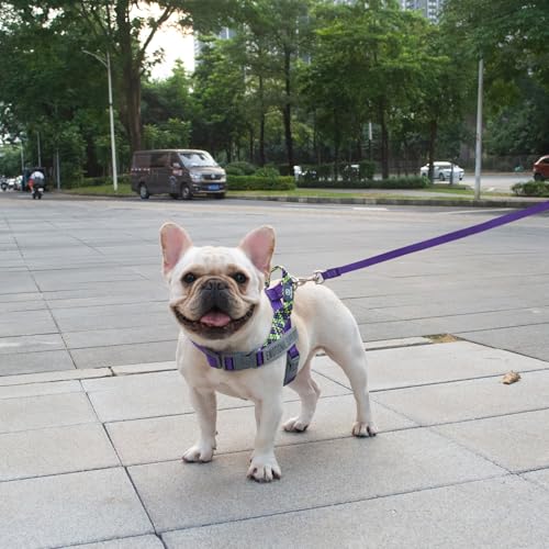 Service Dog Harness and Leash Set, No-Pull Service Dog Vest with 4 PCS Reflective Patches, Dog Vest Harness with Handle, Pet Harness for Small Medium Large Dogs in Training (Purple, S) - color: Purple (Leash + Harness + 4 Patches), size: Small (Chest: 19-