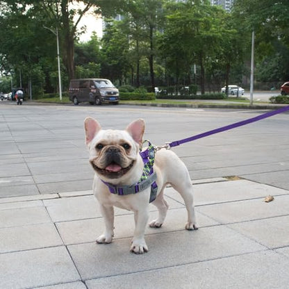 Service Dog Harness and Leash Set, No-Pull Service Dog Vest with 4 PCS Reflective Patches, Dog Vest Harness with Handle, Pet Harness for Small Medium Large Dogs in Training (Purple, S) - color: Purple (Leash + Harness + 4 Patches), size: Small (Chest: 19-