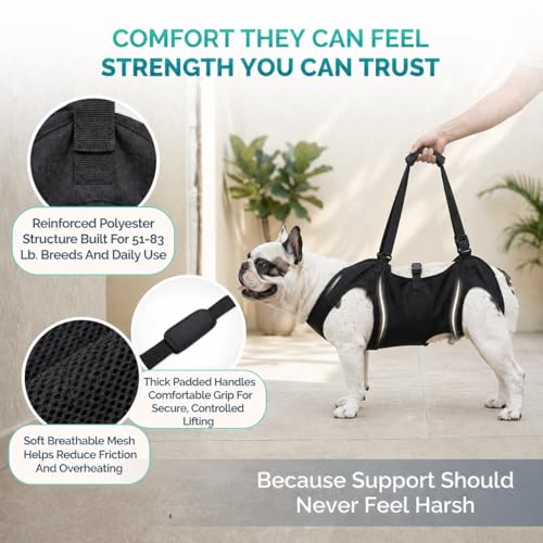 Medium Dog Sling Carrier – 27-38 Lb. Dog Sling for Medium Dogs Hind Leg Support – Doggie Lift M Full Body Design with Breathable Mesh and Adjustable Straps for Safe Mobility Assistance