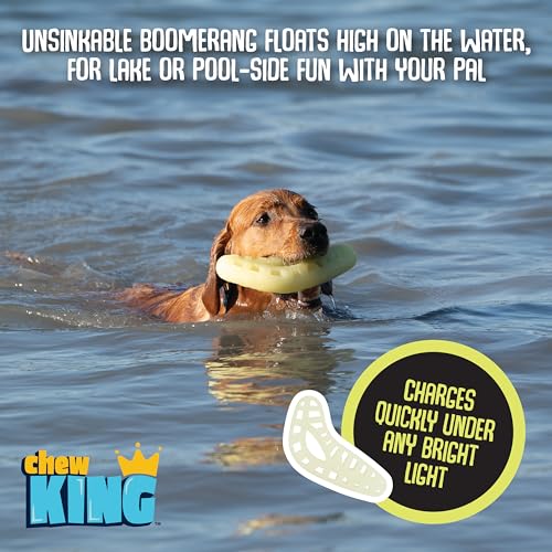 Chew King by Mammoth Large Glow Boomerang - color: K) Boomerang