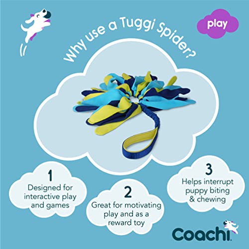 Coachi Tuggi Spider - Interactive Dog Toy for Tug of War & Play. Strong & Comfortable, Stretchy Bungee Handle, Reward Training, Interrupting Biting & Chewing. Ideal for Agility & Suitable for Puppies - style: Tuggi Spider
