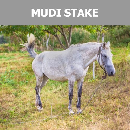 OUNONA 12.8 Inch Steel Tie Out Stake for Cattle Sheep Goat with Strong Ring Ground Anchor for Livestock Tying in Pastures and Outdoor Use
