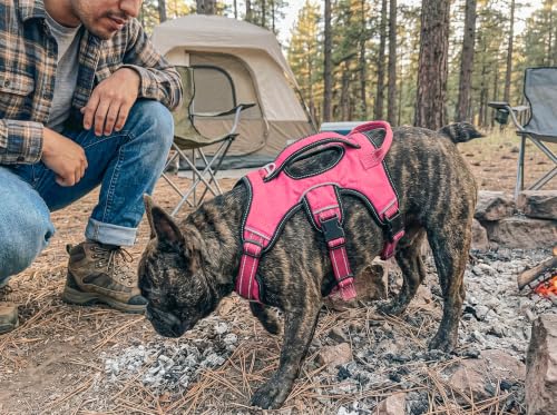 Tuff Pupper Escape Proof No Escape Dog Harness | 5 Point Adjustable Fit Harness for Dogs | Padded Dog Harnesses | Handle Dog Lift Harnesses - color: Hot Pink, size: Small: 17-22 Inch Chest