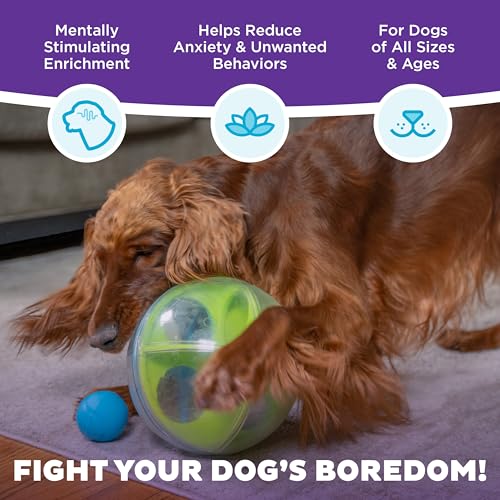 Outward Hound by Nina Ottosson A-Maze Ball Dog Treat Puzzle Ball, Level 2 Intermediate, 8.46" Diameter, Green - color: A-Maze Ball (Blue, Green)