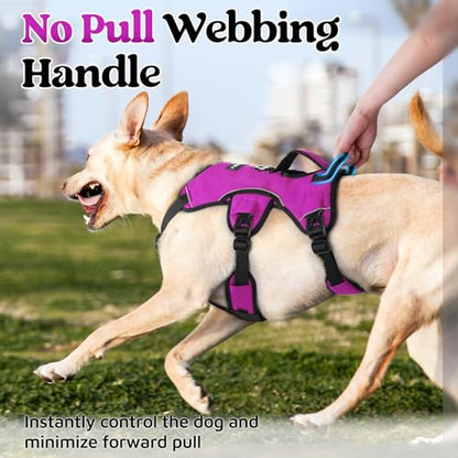 rabbitgoo Escape Proof Dog Harness, Soft Padded Full Body Pet Harness, Reflective Adjustable No Pull Vest with Lift Handle and Leash Clip for Large Dogs Walking Hiking Training, M, Purple - color: Purple, size: Medium (Pack of 1)