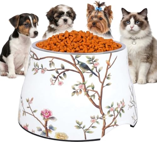 Ceramic Dog Bowl 5 inch Height for Cats and (10-25lbs) Small and Toy size Dogs includes Food-Grade 304 Stainless Steel Bowls Non-Slip 2 Cups(540ml) Bowl Feeder in an Artful and Design (White) - color: White, size: Small