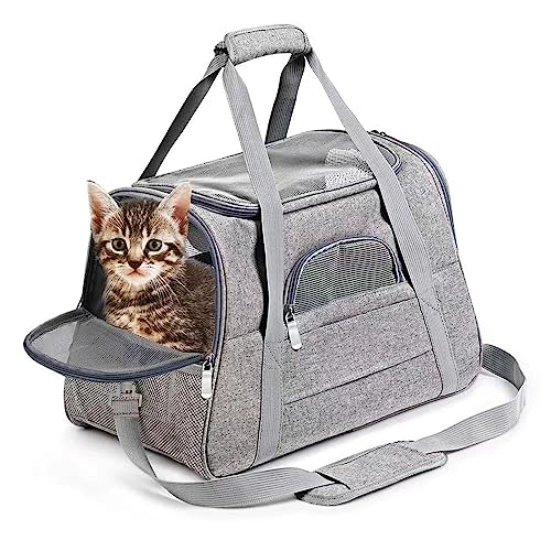 Cat Dog Carrier, Pet Travel Carrier for Small Dogs, Cat Carrying Case Collapsible Dog Carrier, Foldable Soft Sided Animal Carriers Puppy Carry (Black) - color: Black