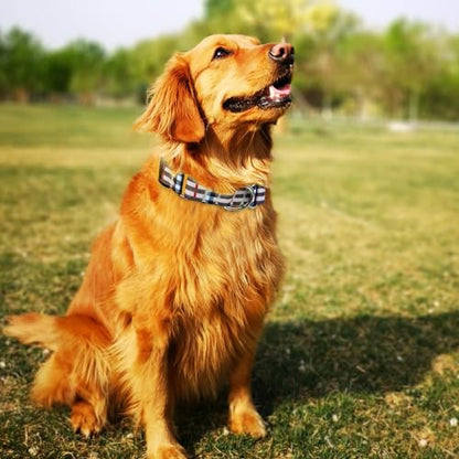 Hikiko Dog Collar for Small Medium Large Dogs, Adjustable Nylon Martingale Collars with Quick Release Buckle (Beige Plaid,S) - color: Beige plaid, size: Small