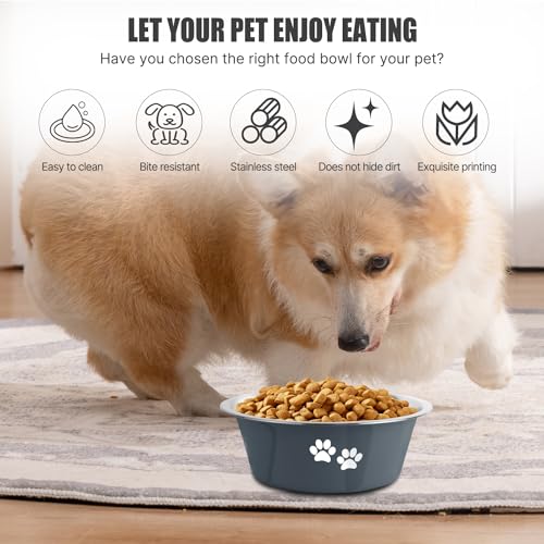 Stainless Steel Dog Bowls, Nonslip Rubber Bottom No Spill Proof Skid Metal Insulated Dog Bowls for Large Medium Small Breed Dogs (Grey, 6.6 Cups/53 OZ) - color: Grey, size: 6.6 Cups/53 OZ