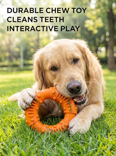 Durable Rubber Teething Ring for Dogs, Interactive Chew Toy for Medium and Large Breeds, Tough Pet Fetch and Training Tool - color: Orange