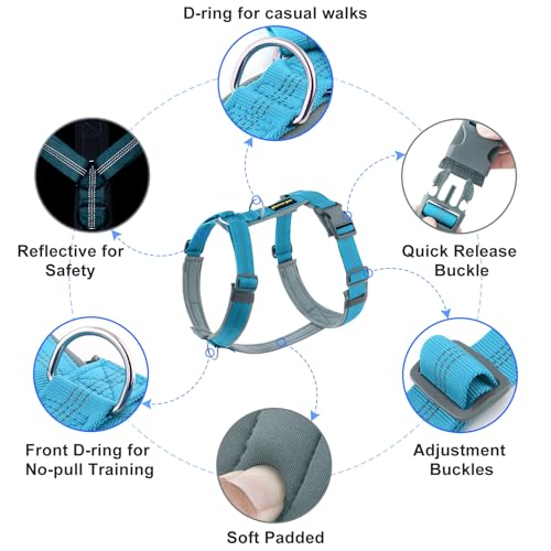 Plutus Pet No Pull Dog Harness, Adjustable Nylon Harness with Soft Padding, Reflective and Heavy Duty Dog Harness for Small, Medium, Large Dogs(Cyan, S) - color: Cyan, size: S