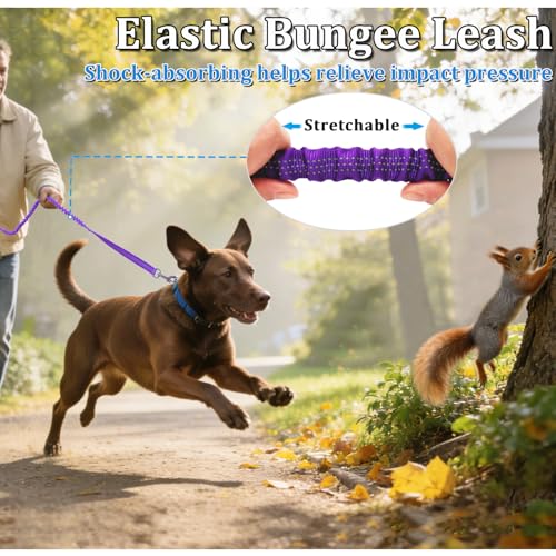 WYuZe 4-5.5 FT Bungee Dog Leash, Reflective Shock Absorbing Elastic Nylon Leash with Comfortable Handle, for Strong Puppy/Medium Dogs Anti-Pull Training Walking (Purple, 3/4"-Wide) - color: Purple