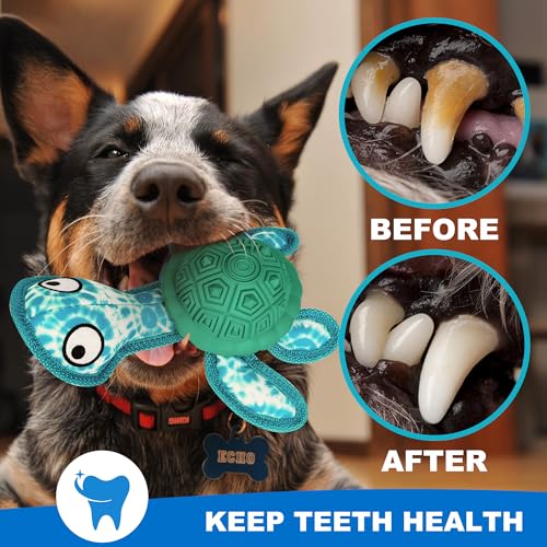 Dog Chew Toys,Puppy Teeth Chew Toys Durable Rubber Material Turtle Shape Dog Toys with 2 Tennis Ball (Green) - color: Green