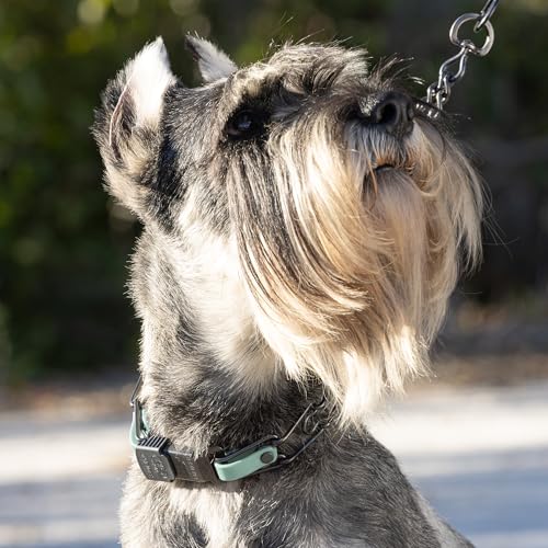 Herm Sprenger Black Stainless Steel Dog Collar with Quick Release ClicLock Buckle and Biothane Insert Training Collar Made in Germany (Sage Green, 23in x 3.2mm(Neck Size up to19-20in)) - color: Sage Green, size: 23in x 3.2mm(neck size up to19-20in)